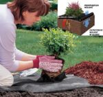 Agrowłóknina czarna UV 100g 1,6x50m - obrazek 4